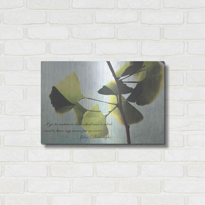 Luxe Metal Art 'Delicate Ginkgo' by Debra Van Swearingen, Metal Wall Art,24x16