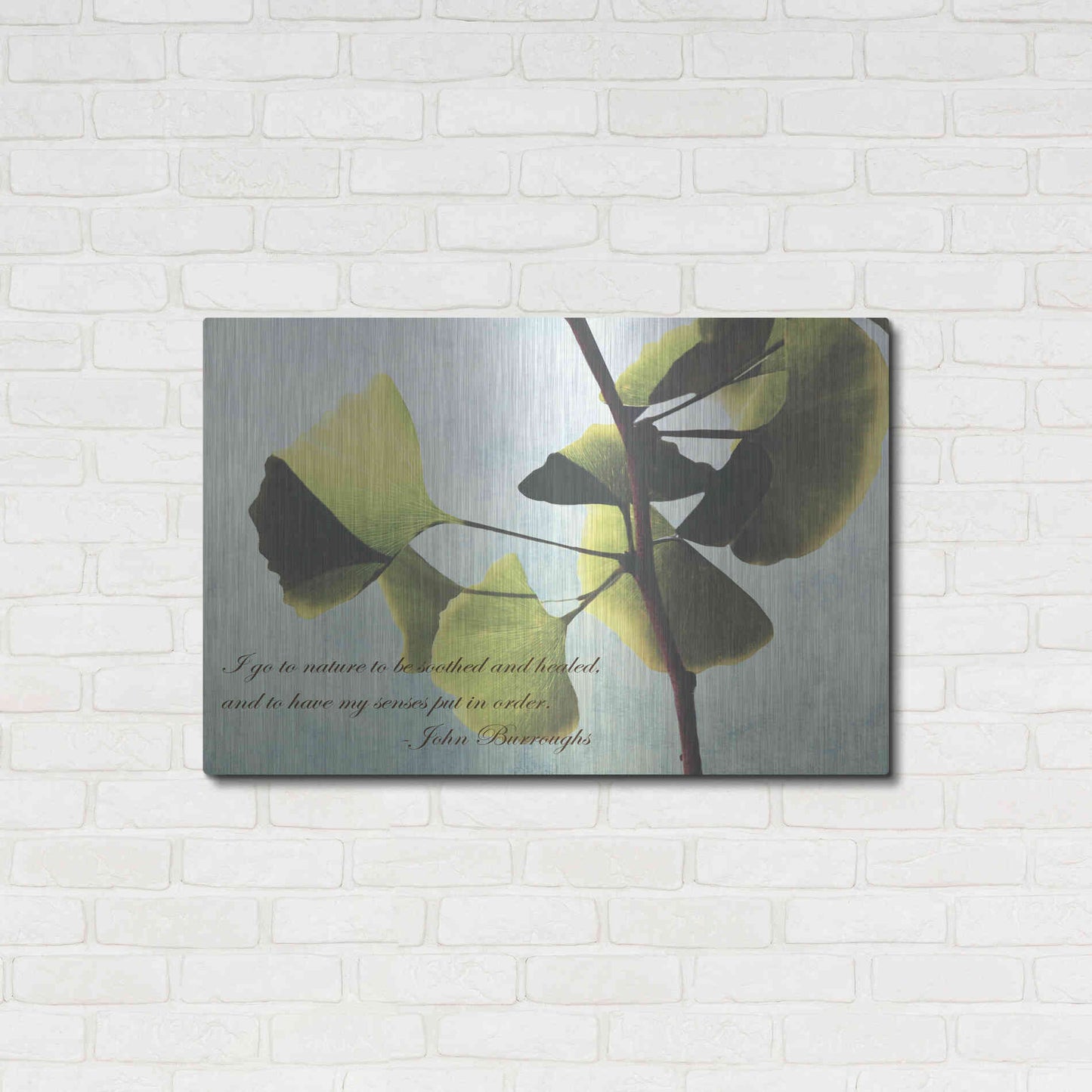 Luxe Metal Art 'Delicate Ginkgo' by Debra Van Swearingen, Metal Wall Art,36x24