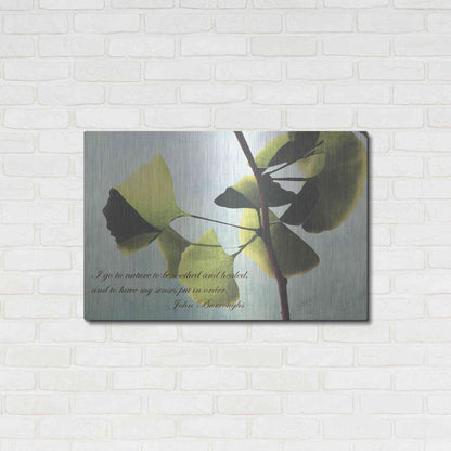 Luxe Metal Art 'Delicate Ginkgo' by Debra Van Swearingen, Metal Wall Art,36x24