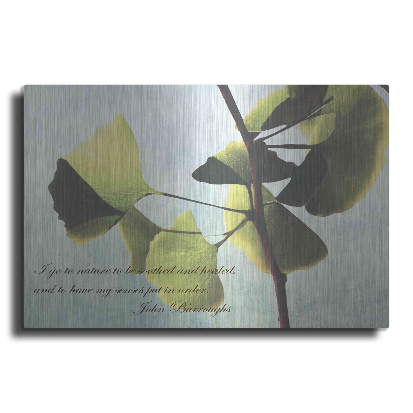 Luxe Metal Art 'Delicate Ginkgo' by Debra Van Swearingen, Metal Wall Art