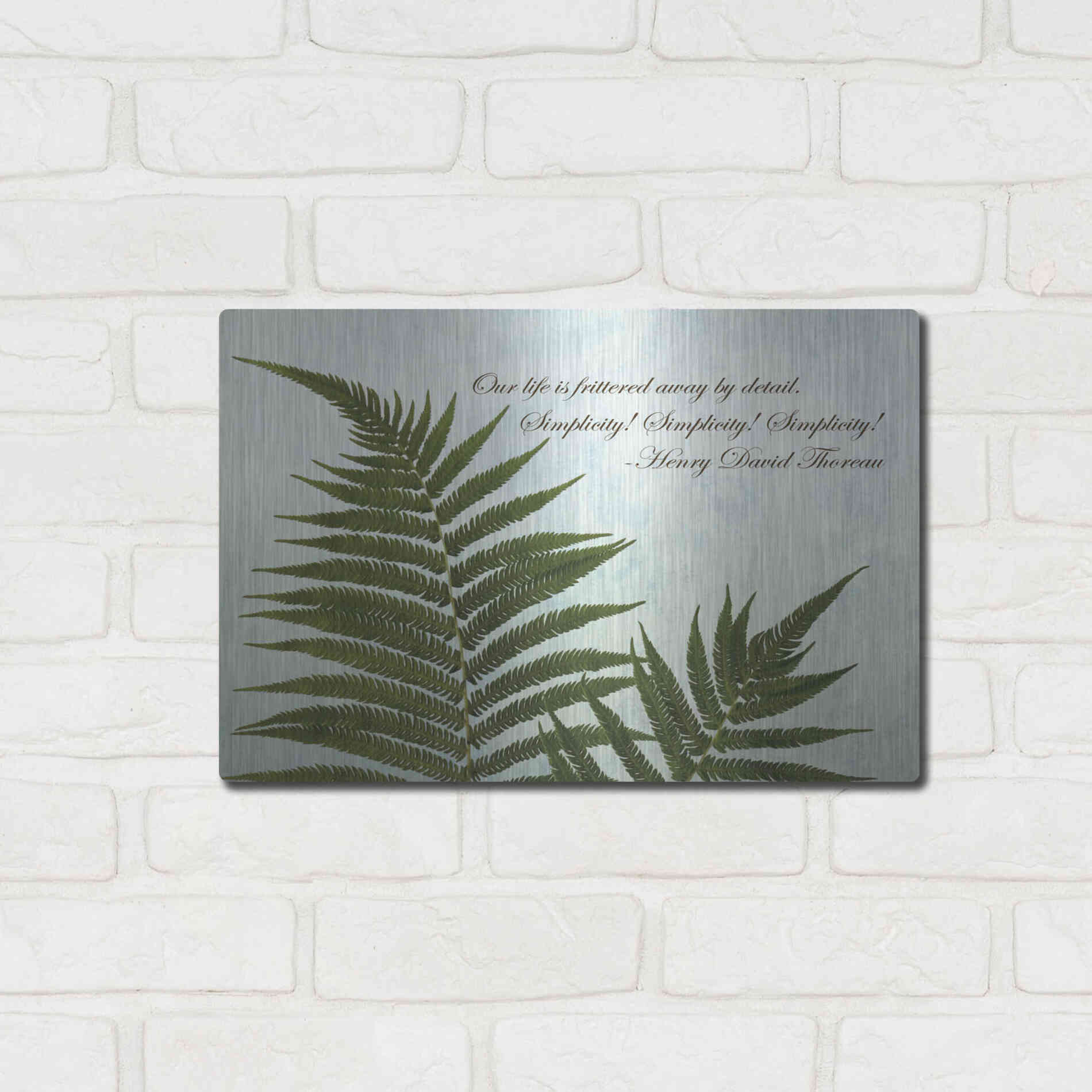 Luxe Metal Art 'Delicate Fern' by Debra Van Swearingen, Metal Wall Art,16x12