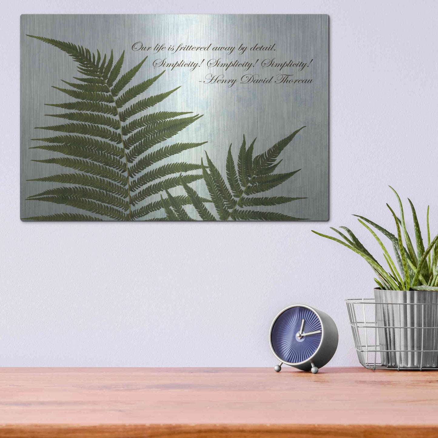 Luxe Metal Art 'Delicate Fern' by Debra Van Swearingen, Metal Wall Art,16x12