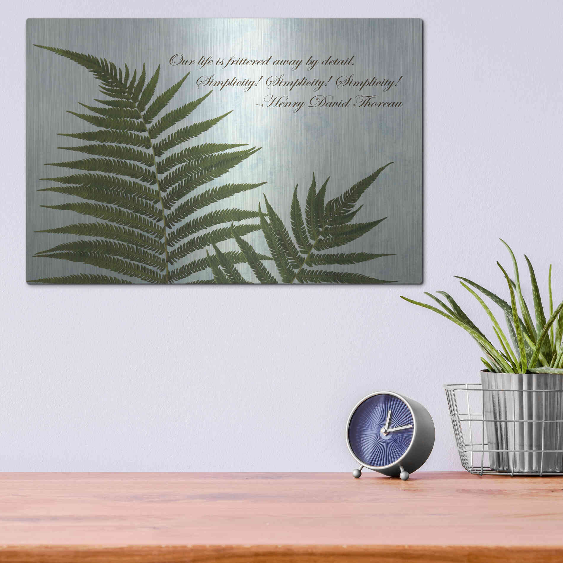 Luxe Metal Art 'Delicate Fern' by Debra Van Swearingen, Metal Wall Art,16x12