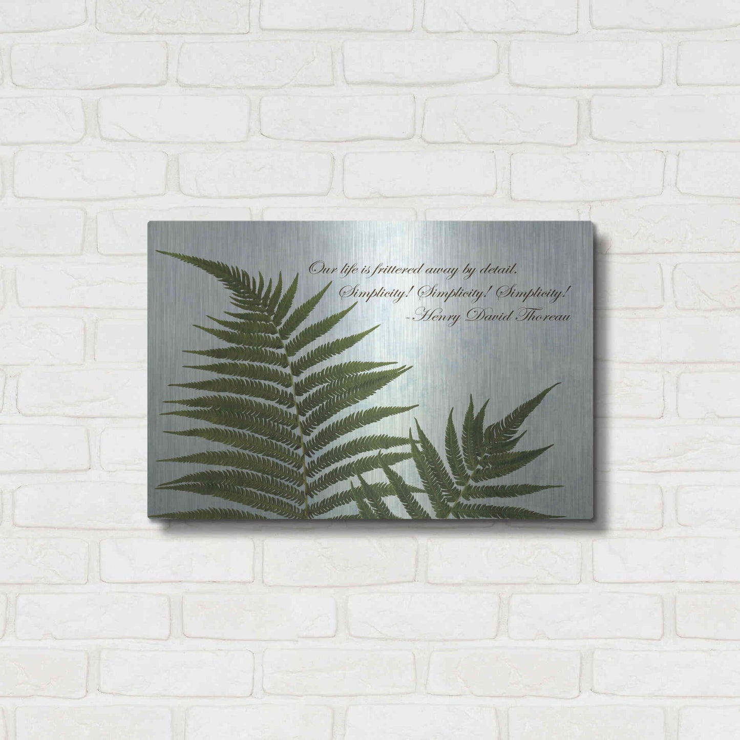 Luxe Metal Art 'Delicate Fern' by Debra Van Swearingen, Metal Wall Art,24x16