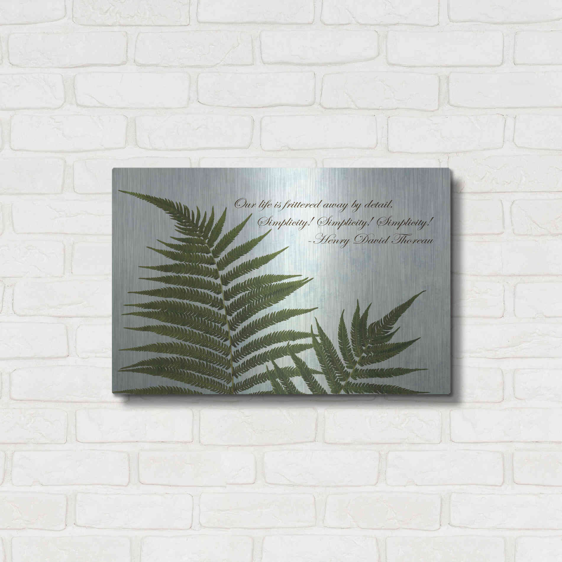 Luxe Metal Art 'Delicate Fern' by Debra Van Swearingen, Metal Wall Art,24x16