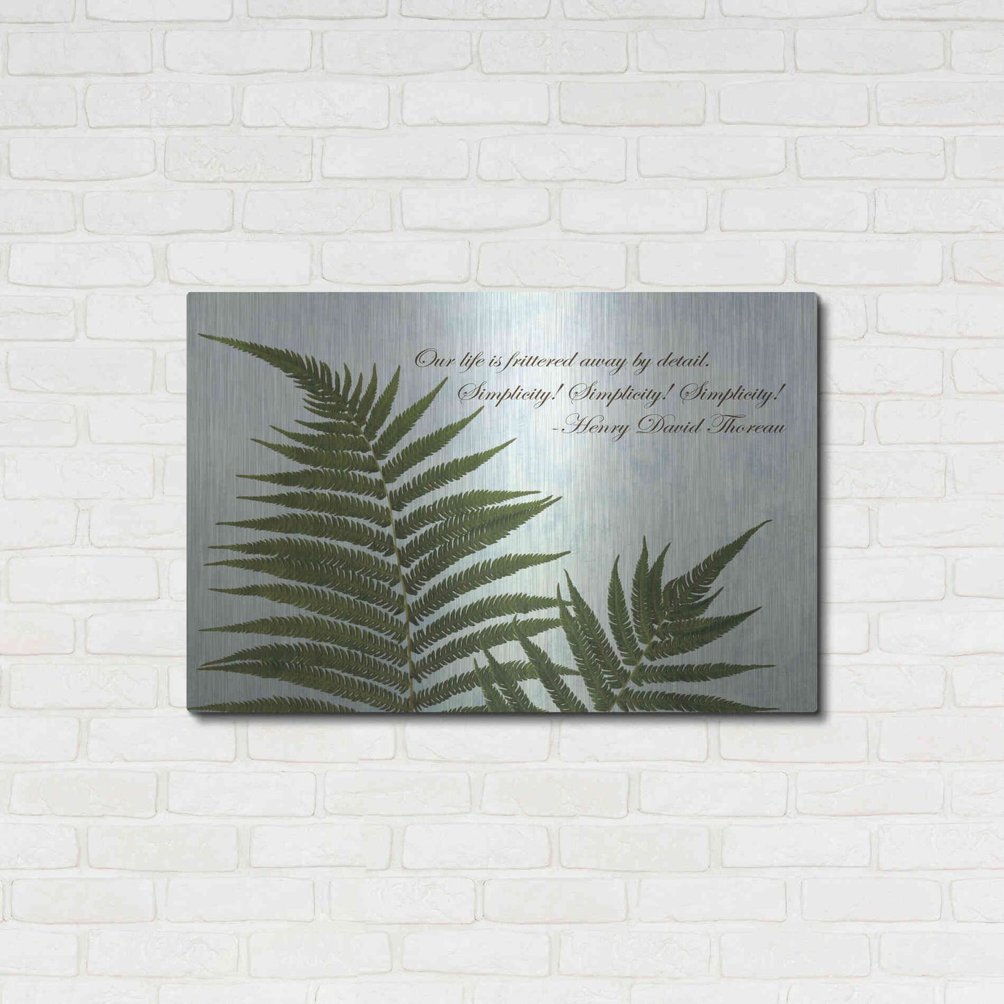 Luxe Metal Art 'Delicate Fern' by Debra Van Swearingen, Metal Wall Art,36x24
