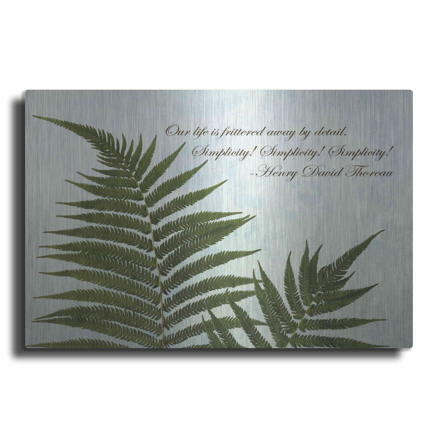 Luxe Metal Art 'Delicate Fern' by Debra Van Swearingen, Metal Wall Art