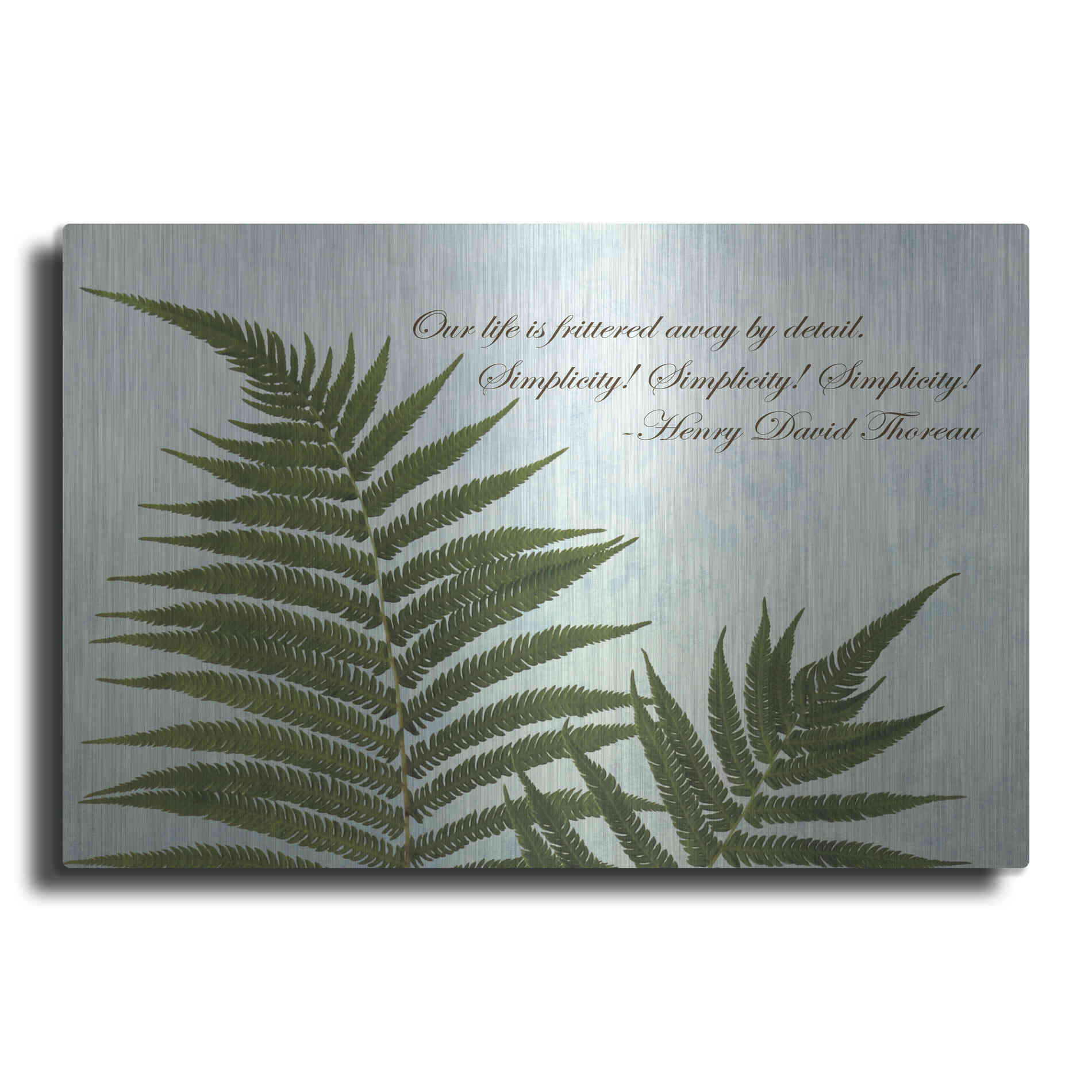 Luxe Metal Art 'Delicate Fern' by Debra Van Swearingen, Metal Wall Art