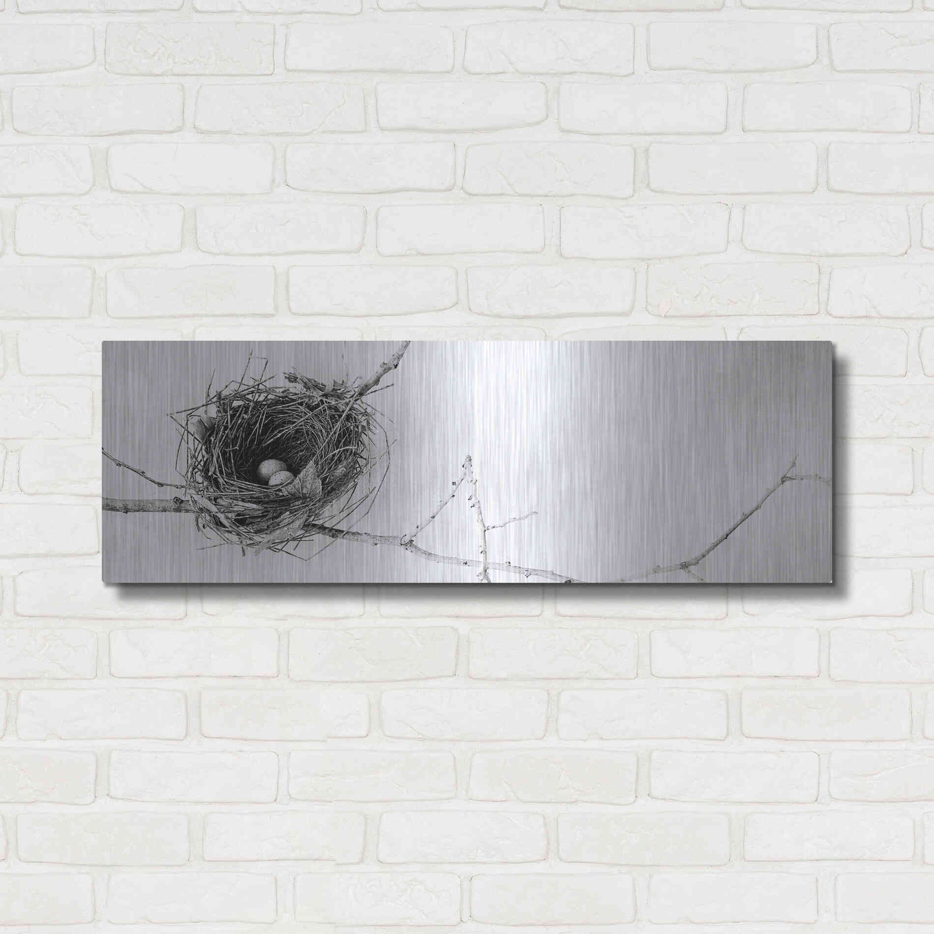 Luxe Metal Art 'Nest and Branch I Pano' by Debra Van Swearingen, Metal Wall Art,36x12