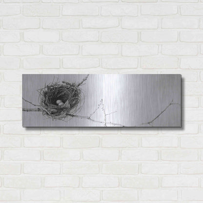 Luxe Metal Art 'Nest and Branch I Pano' by Debra Van Swearingen, Metal Wall Art,36x12