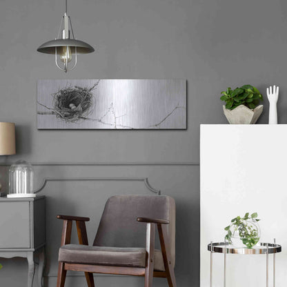 Luxe Metal Art 'Nest and Branch I Pano' by Debra Van Swearingen, Metal Wall Art,36x12