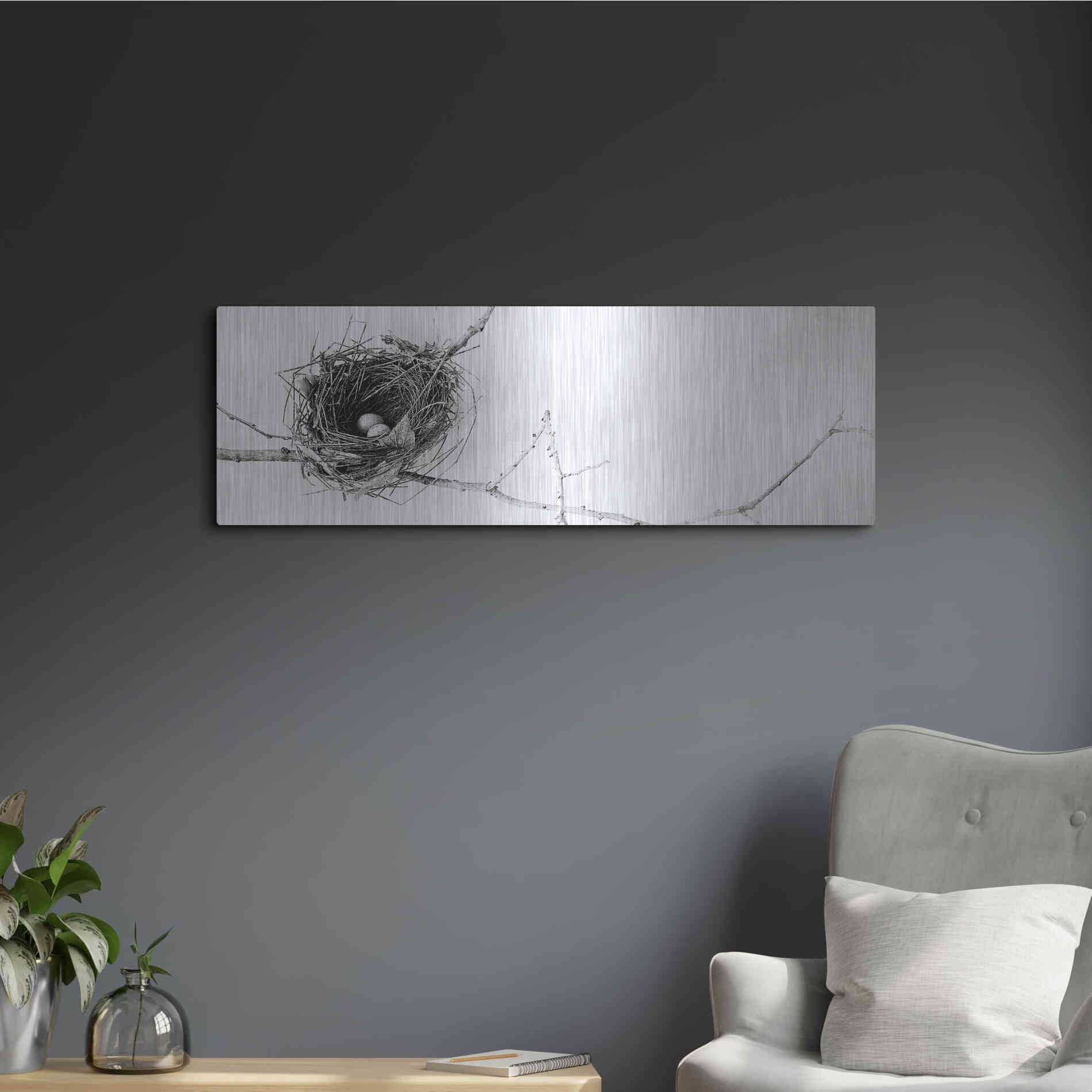 Luxe Metal Art 'Nest and Branch I Pano' by Debra Van Swearingen, Metal Wall Art,36x12
