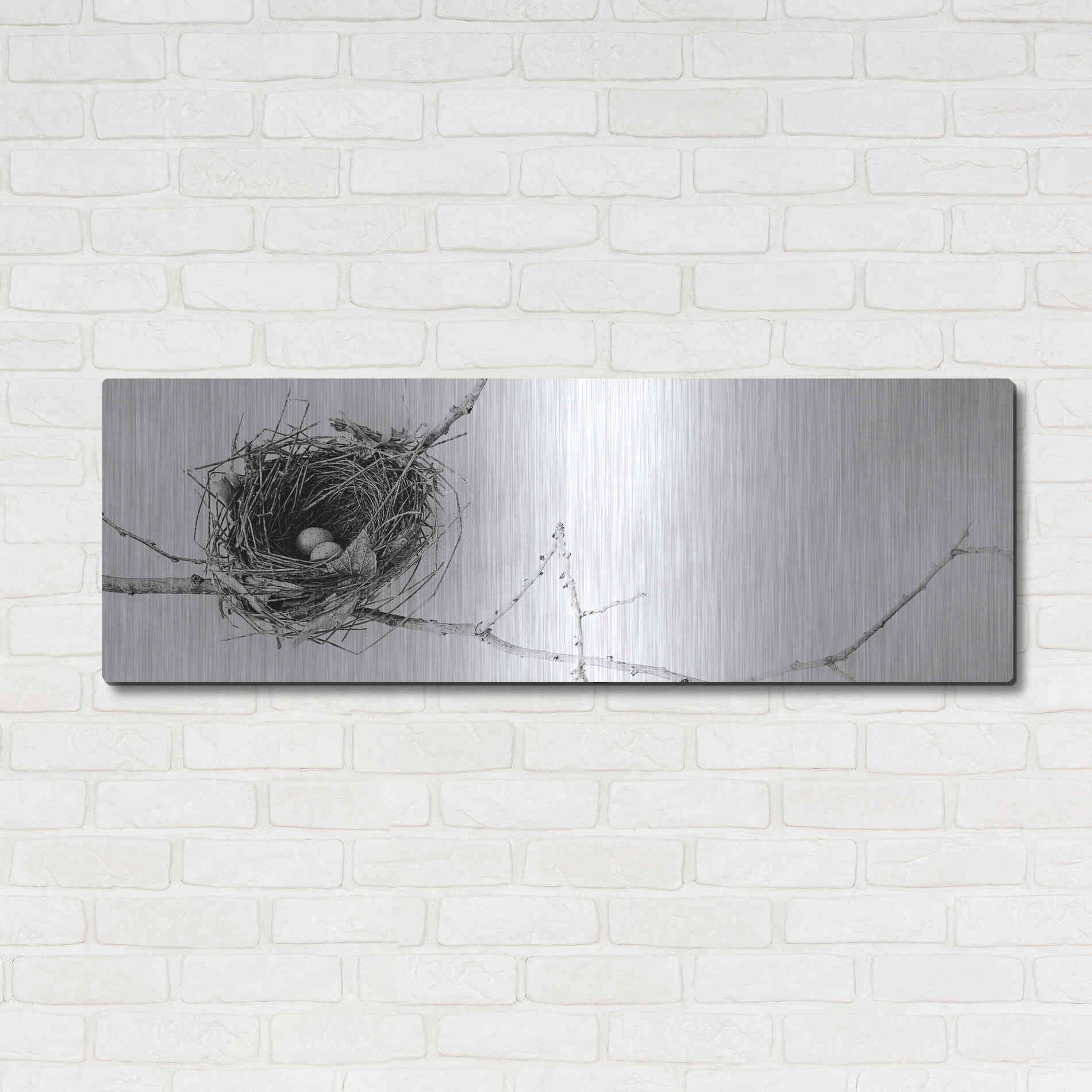 Luxe Metal Art 'Nest and Branch I Pano' by Debra Van Swearingen, Metal Wall Art,48x16