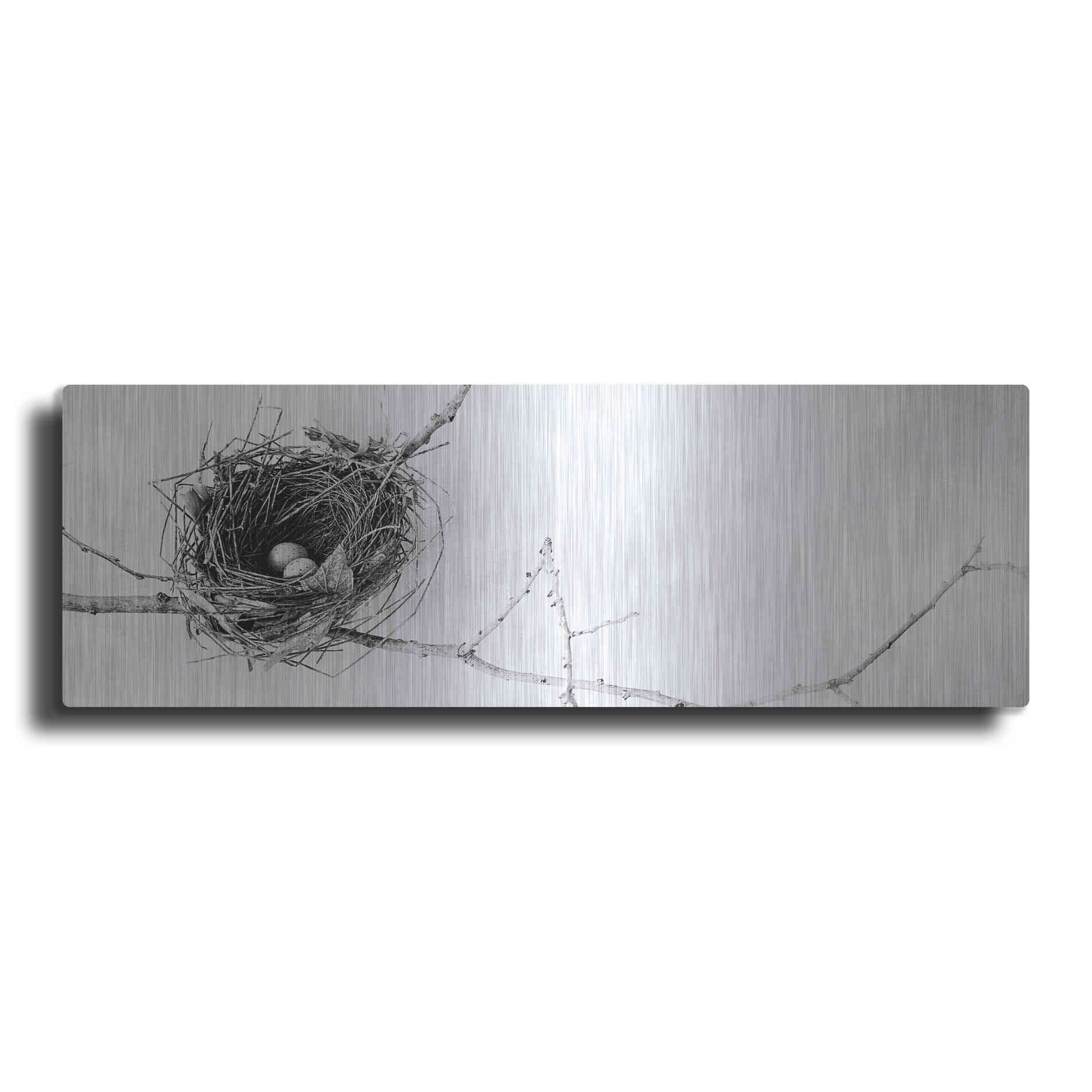Luxe Metal Art 'Nest and Branch I Pano' by Debra Van Swearingen, Metal Wall Art