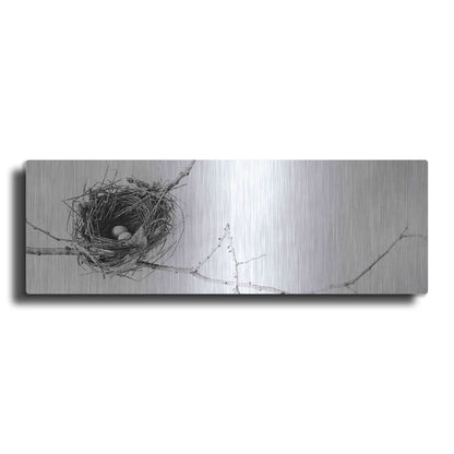 Luxe Metal Art 'Nest and Branch I Pano' by Debra Van Swearingen, Metal Wall Art