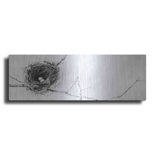 Luxe Metal Art 'Nest and Branch I Pano' by Debra Van Swearingen, Metal Wall Art