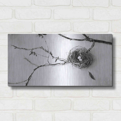 Luxe Metal Art 'Nest and Branch II' by Debra Van Swearingen, Metal Wall Art,24x12