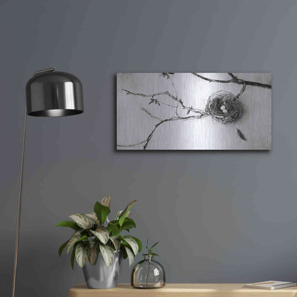 Luxe Metal Art 'Nest and Branch II' by Debra Van Swearingen, Metal Wall Art,24x12