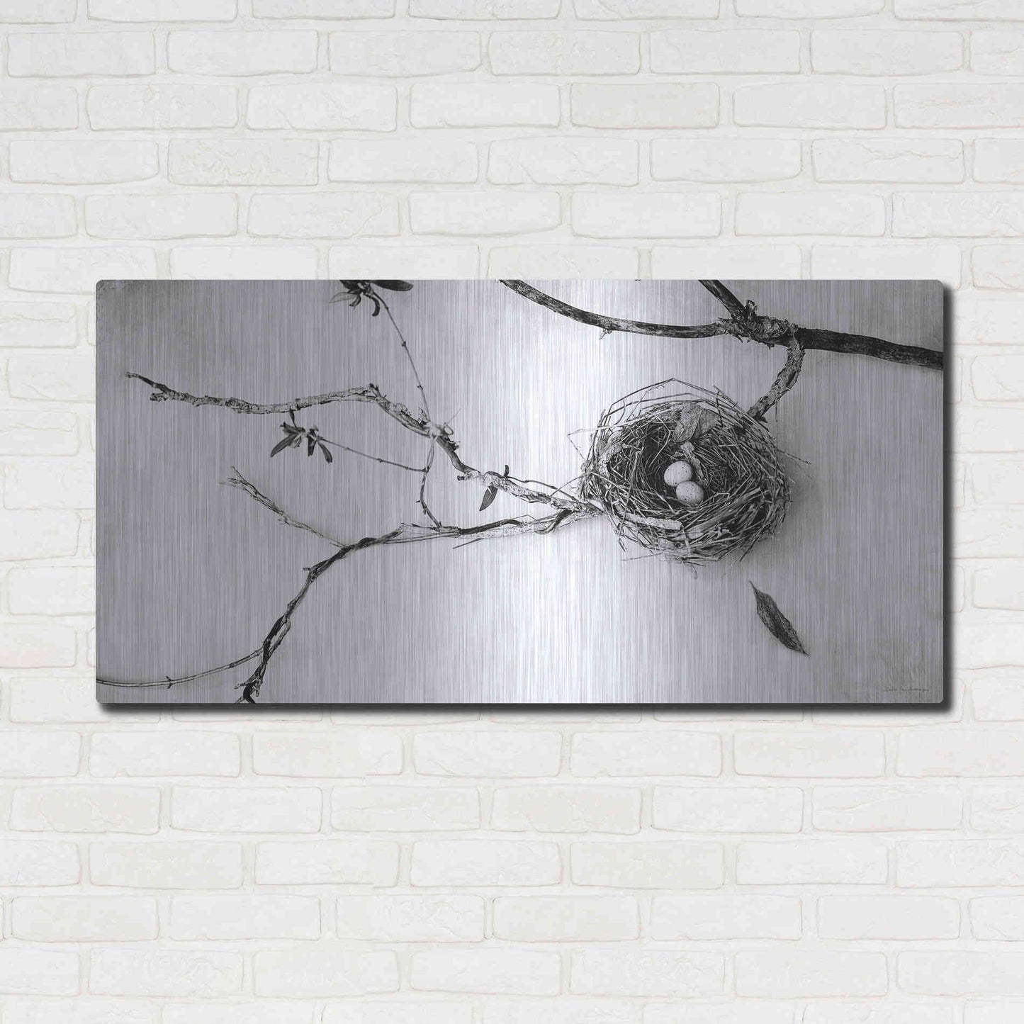Luxe Metal Art 'Nest and Branch II' by Debra Van Swearingen, Metal Wall Art,48x24