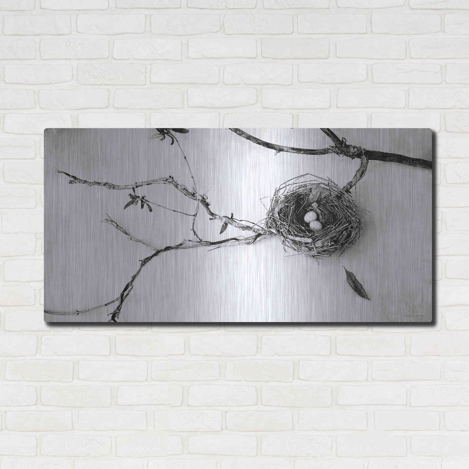 Luxe Metal Art 'Nest and Branch II' by Debra Van Swearingen, Metal Wall Art,48x24