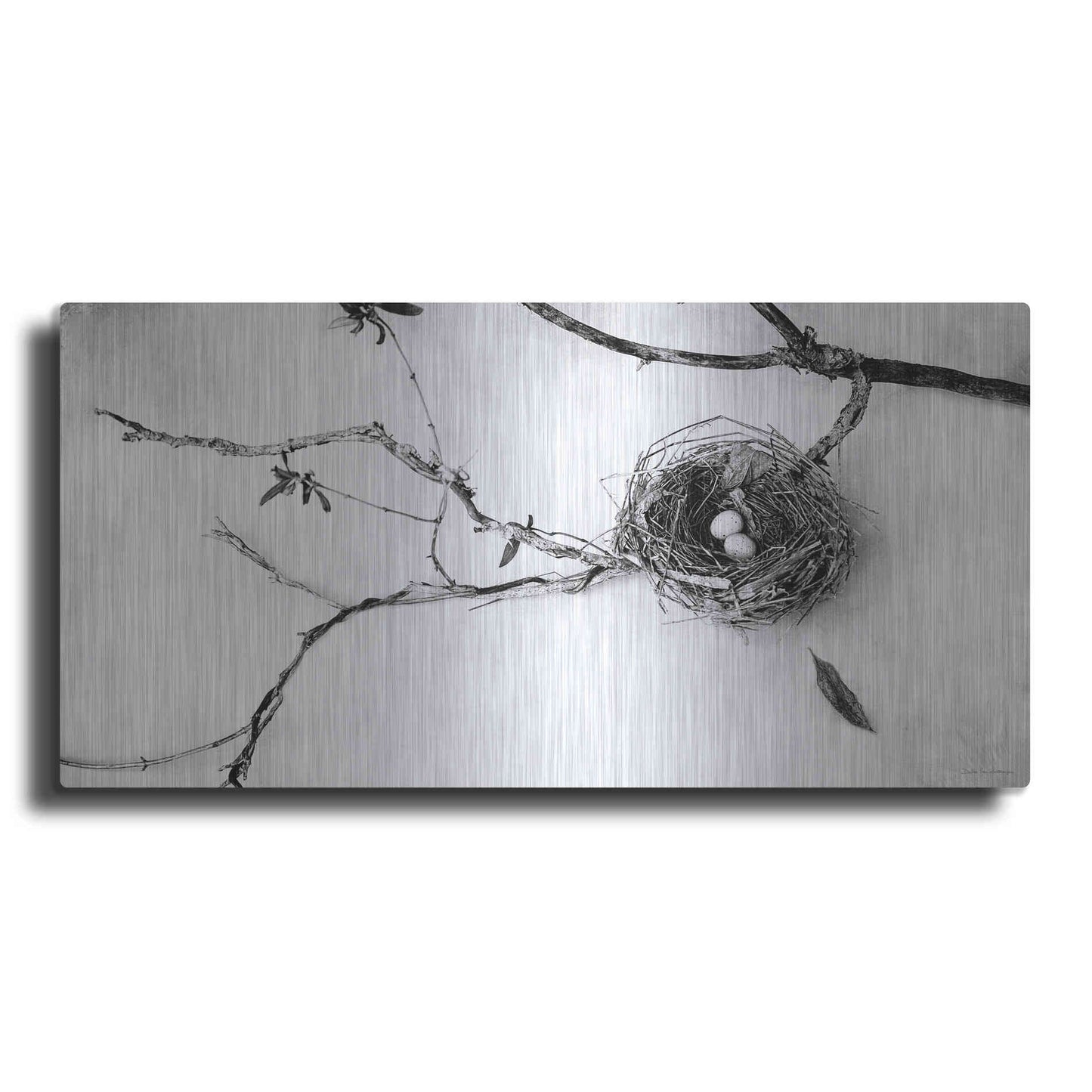 Luxe Metal Art 'Nest and Branch II' by Debra Van Swearingen, Metal Wall Art