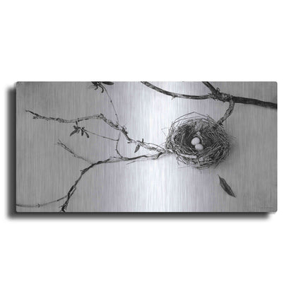 Luxe Metal Art 'Nest and Branch II' by Debra Van Swearingen, Metal Wall Art