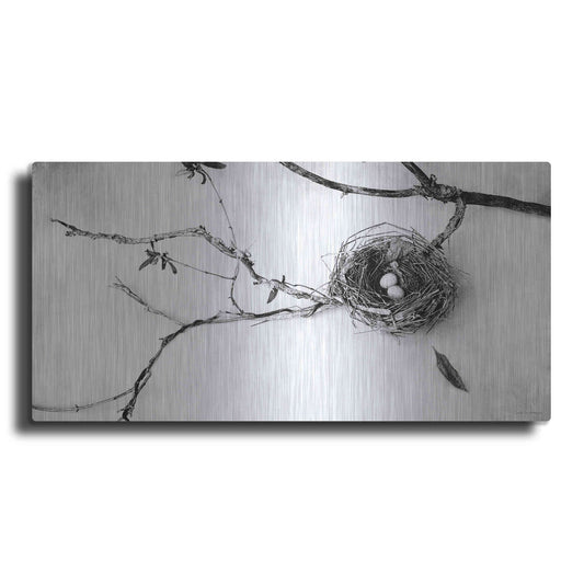 Luxe Metal Art 'Nest and Branch II' by Debra Van Swearingen, Metal Wall Art