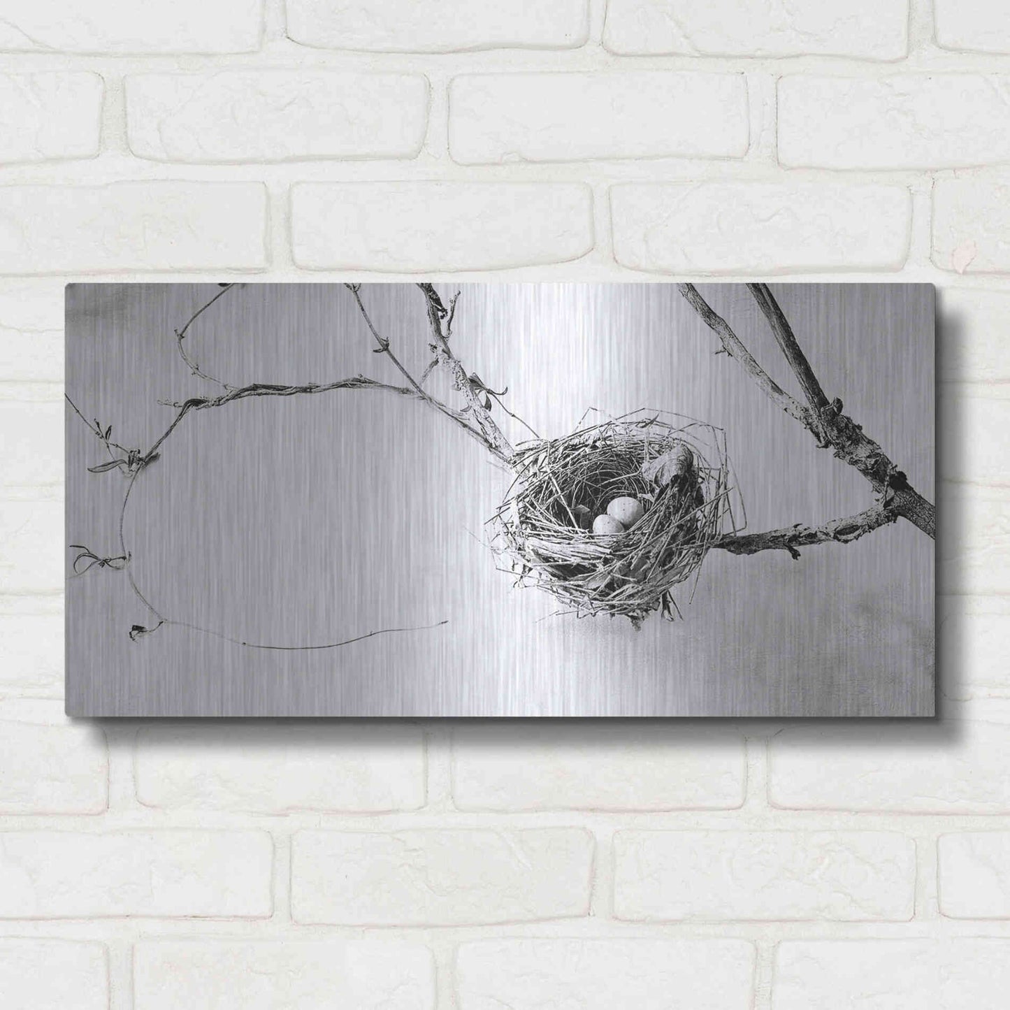 Luxe Metal Art 'Nest and Branch III' by Debra Van Swearingen, Metal Wall Art,24x12