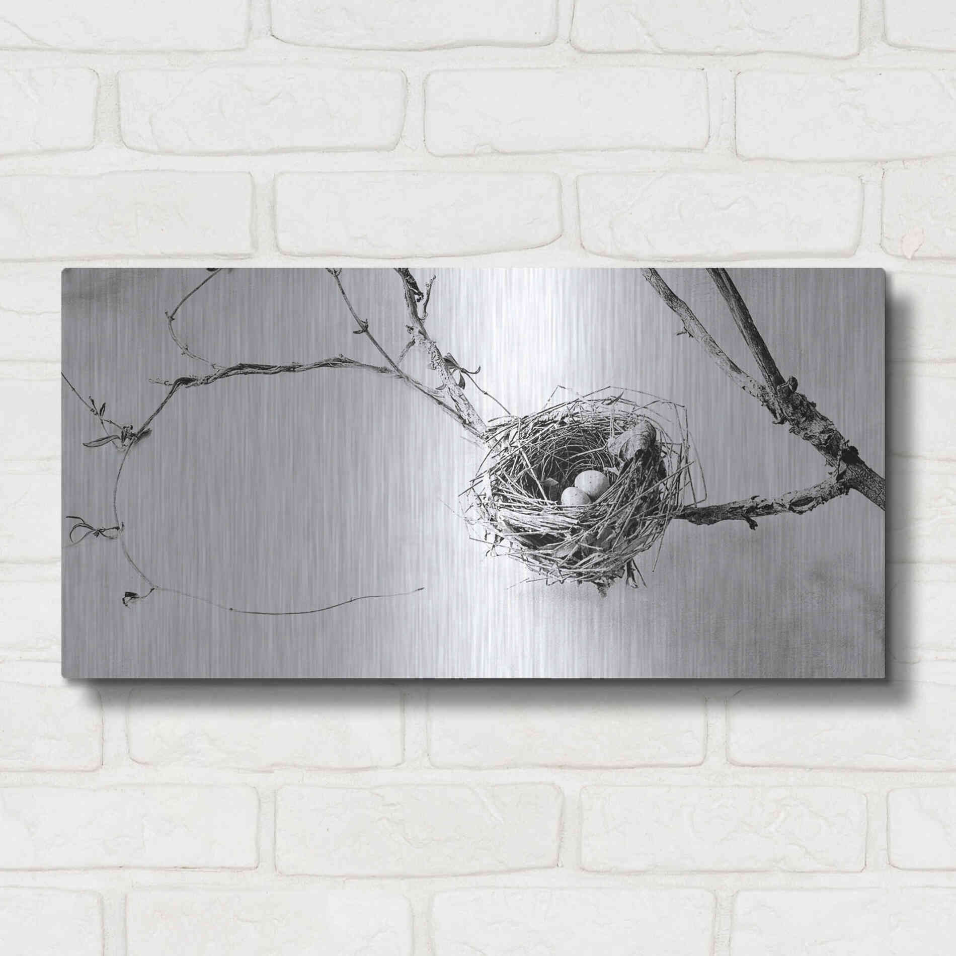 Luxe Metal Art 'Nest and Branch III' by Debra Van Swearingen, Metal Wall Art,24x12