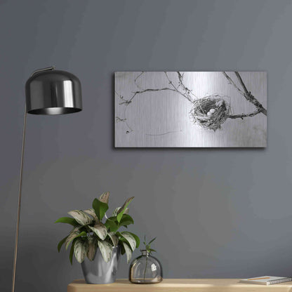 Luxe Metal Art 'Nest and Branch III' by Debra Van Swearingen, Metal Wall Art,24x12