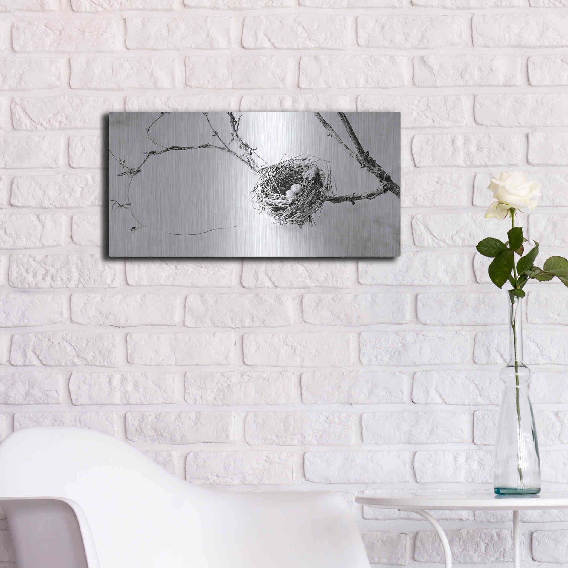Luxe Metal Art 'Nest and Branch III' by Debra Van Swearingen, Metal Wall Art,24x12