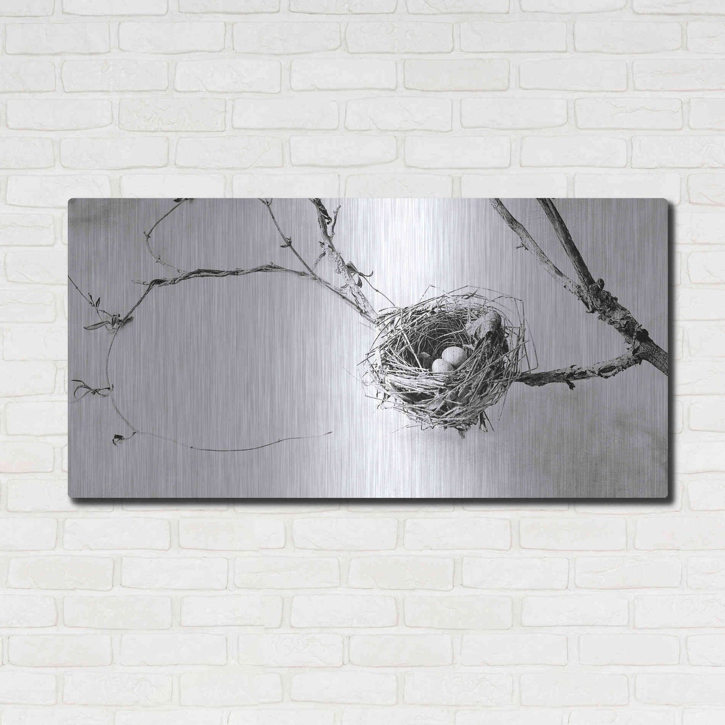 Luxe Metal Art 'Nest and Branch III' by Debra Van Swearingen, Metal Wall Art,48x24