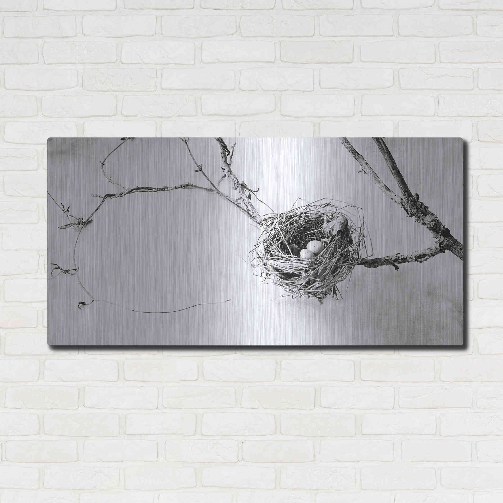 Luxe Metal Art 'Nest and Branch III' by Debra Van Swearingen, Metal Wall Art,48x24