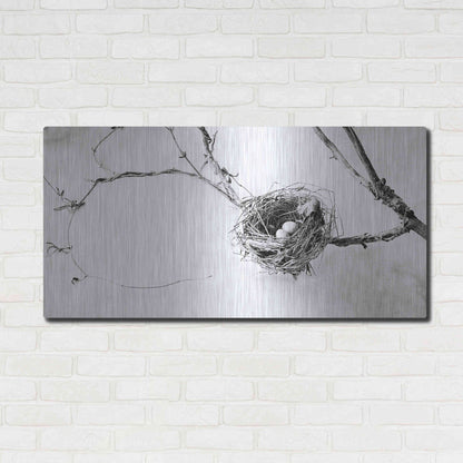 Luxe Metal Art 'Nest and Branch III' by Debra Van Swearingen, Metal Wall Art,48x24
