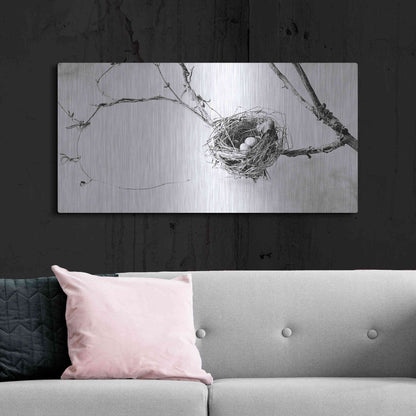 Luxe Metal Art 'Nest and Branch III' by Debra Van Swearingen, Metal Wall Art,48x24