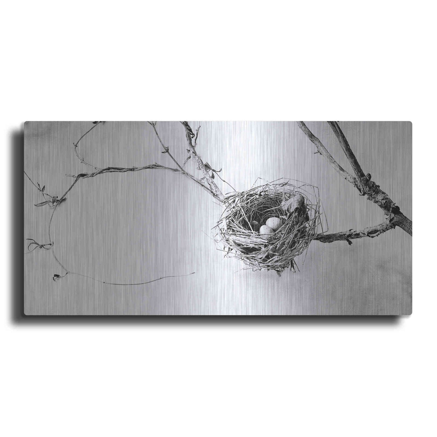 Luxe Metal Art 'Nest and Branch III' by Debra Van Swearingen, Metal Wall Art