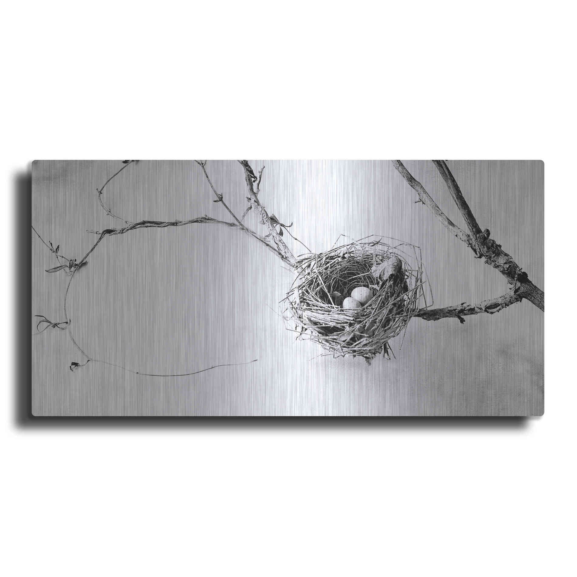 Luxe Metal Art 'Nest and Branch III' by Debra Van Swearingen, Metal Wall Art