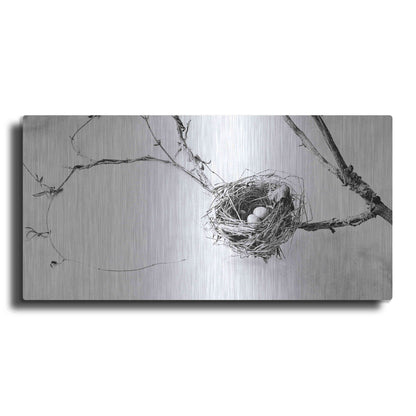 Luxe Metal Art 'Nest and Branch III' by Debra Van Swearingen, Metal Wall Art