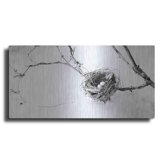 Luxe Metal Art 'Nest and Branch III' by Debra Van Swearingen, Metal Wall Art