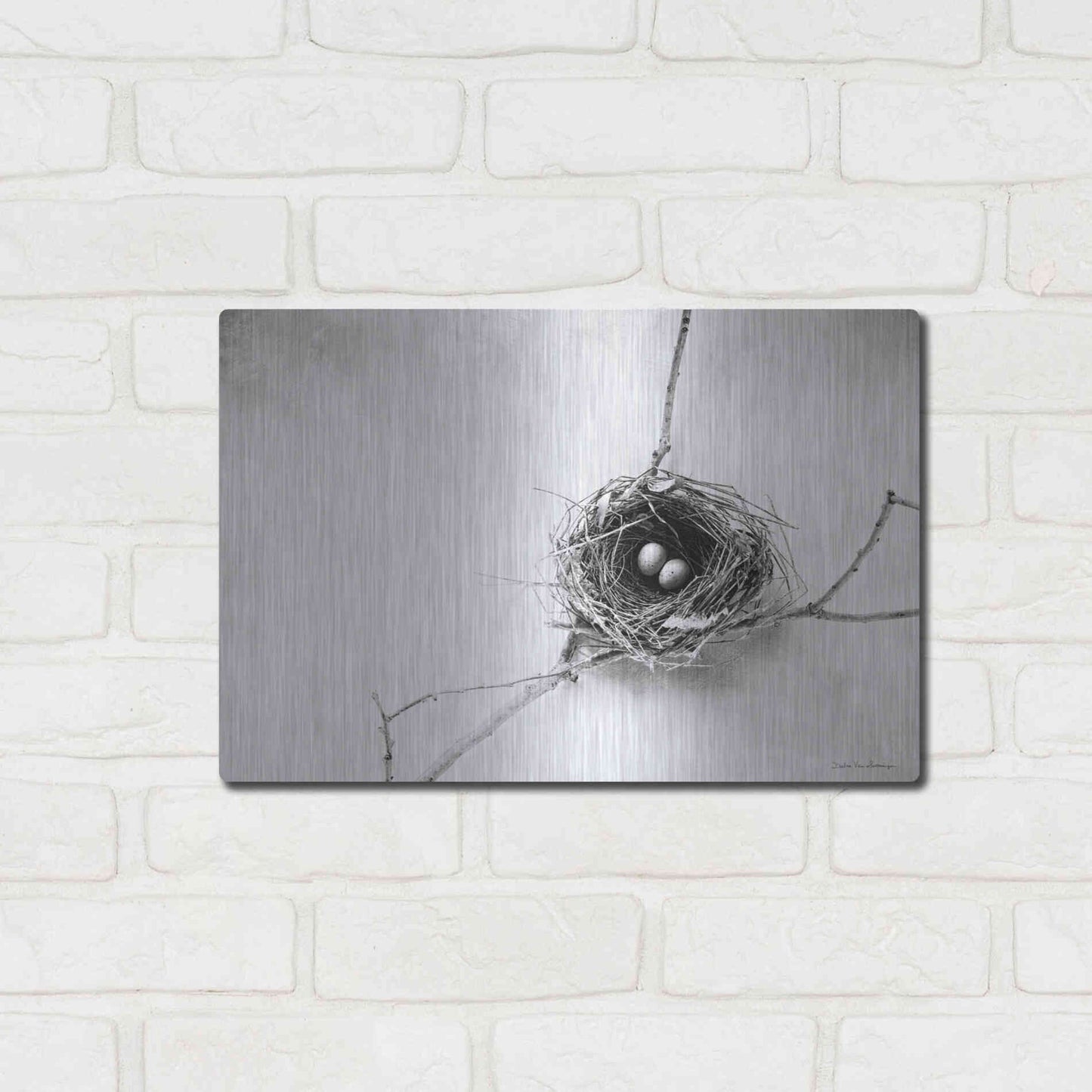 Luxe Metal Art 'Nest and Branch IV' by Debra Van Swearingen, Metal Wall Art,16x12