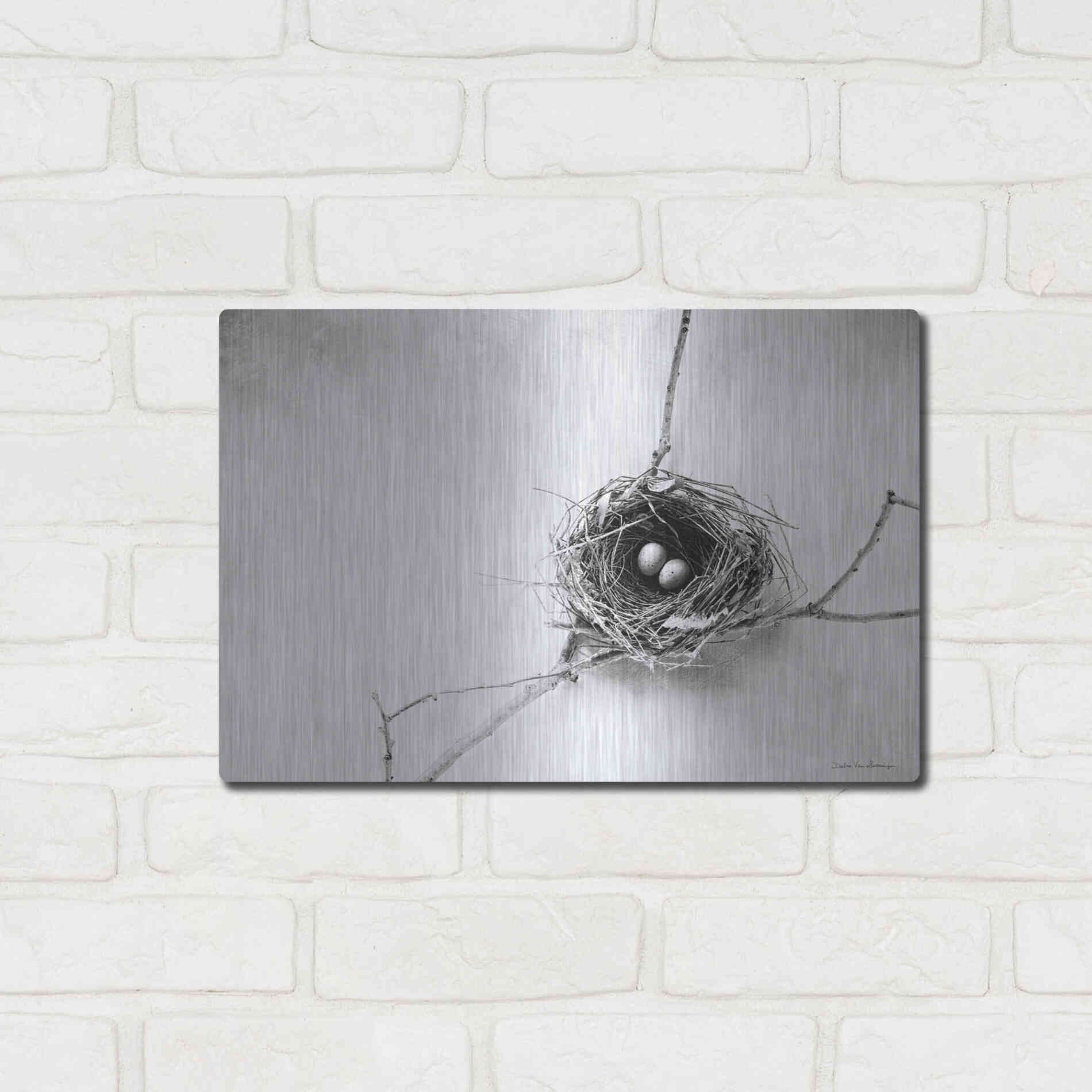 Luxe Metal Art 'Nest and Branch IV' by Debra Van Swearingen, Metal Wall Art,16x12