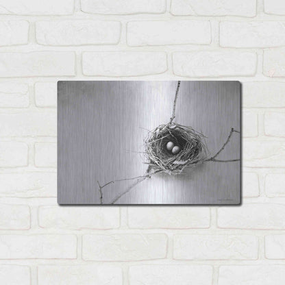 Luxe Metal Art 'Nest and Branch IV' by Debra Van Swearingen, Metal Wall Art,16x12