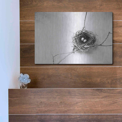 Luxe Metal Art 'Nest and Branch IV' by Debra Van Swearingen, Metal Wall Art,16x12