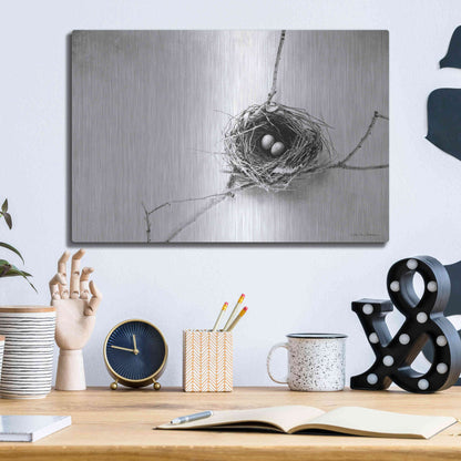 Luxe Metal Art 'Nest and Branch IV' by Debra Van Swearingen, Metal Wall Art,16x12