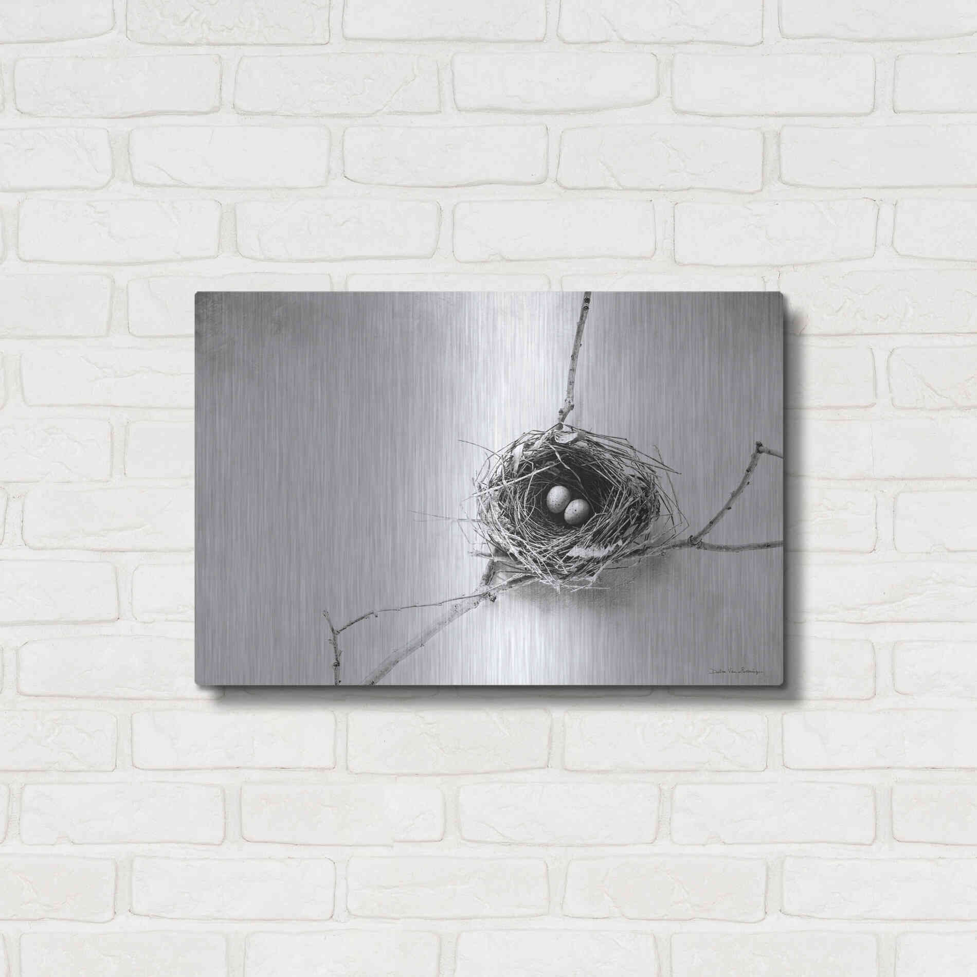 Luxe Metal Art 'Nest and Branch IV' by Debra Van Swearingen, Metal Wall Art,24x16