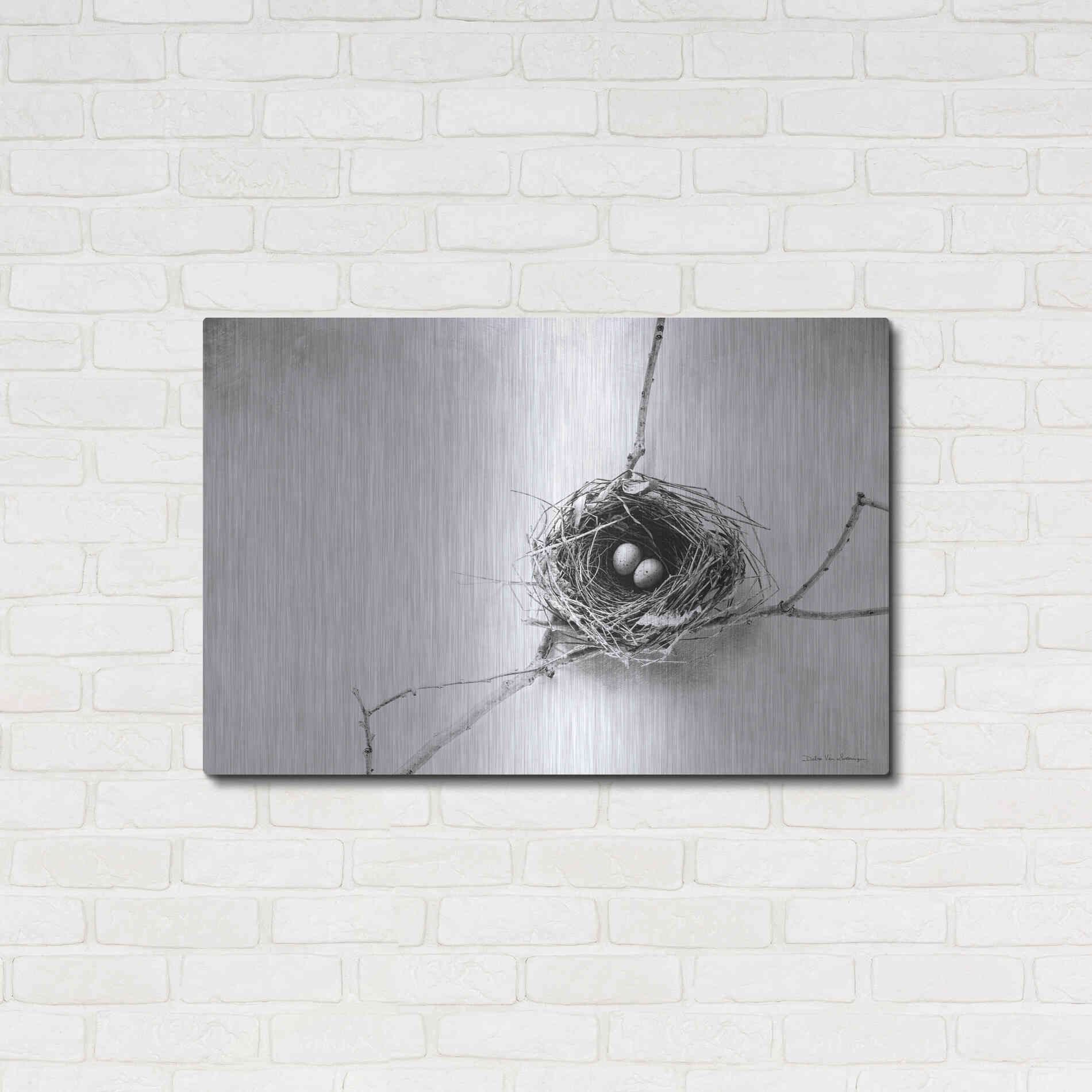 Luxe Metal Art 'Nest and Branch IV' by Debra Van Swearingen, Metal Wall Art,36x24