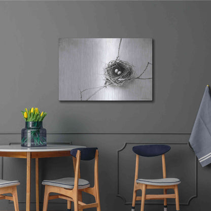 Luxe Metal Art 'Nest and Branch IV' by Debra Van Swearingen, Metal Wall Art,36x24