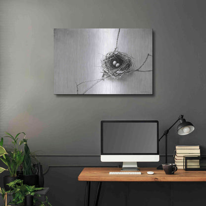 Luxe Metal Art 'Nest and Branch IV' by Debra Van Swearingen, Metal Wall Art,36x24