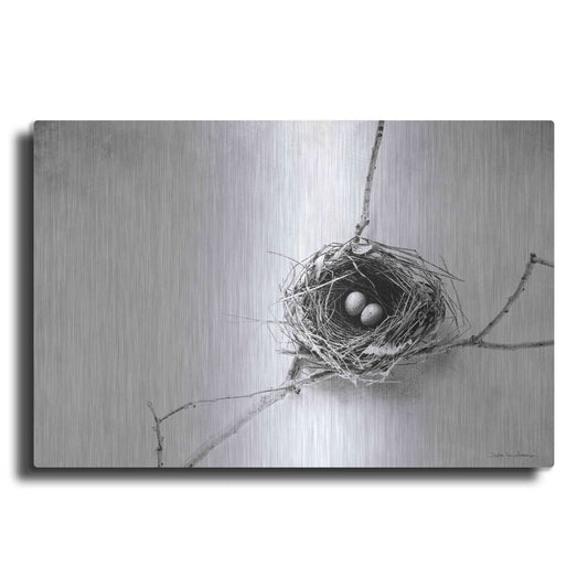 Luxe Metal Art 'Nest and Branch IV' by Debra Van Swearingen, Metal Wall Art