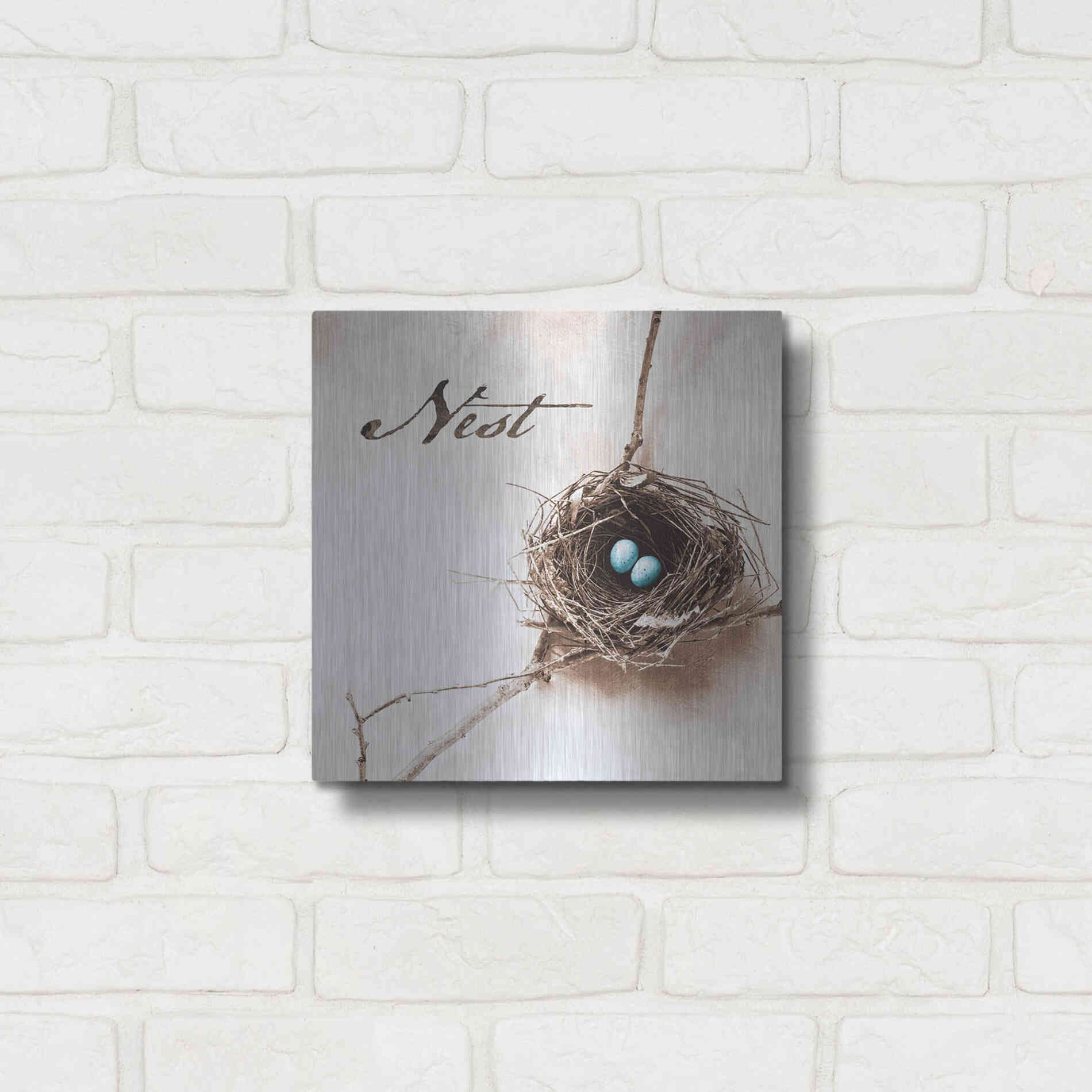 Luxe Metal Art 'Nest and Branch IV - Nest' by Debra Van Swearingen, Metal Wall Art,12x12
